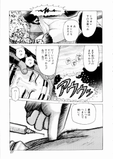 [Yamamoto Atsuji] Ammo Vol 3 - page 29