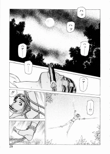 [Yamamoto Atsuji] Ammo Vol 3 - page 31