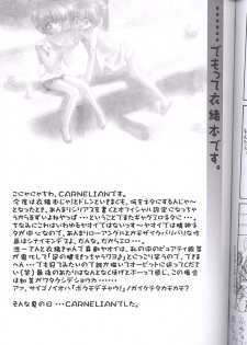 (C62) [Carnelian] Tsuki Rakuyou Sono San (Kao no nai Tsuki [Moonlight Lady]) - page 14