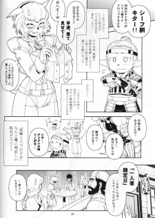 [Circle Credit (Akikan)] Kanjuku Mithran Tarutaru (Final Fantasy XI) - page 25