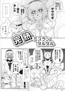 [Circle Credit (Akikan)] Kanjuku Mithran Tarutaru (Final Fantasy XI) - page 3