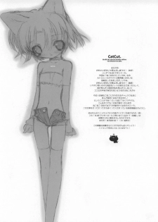 (C60) [GALAXIST (BLADE)] CAT CUT [English] [Hmanga-Project] - page 4