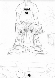 (C60) [GALAXIST (BLADE)] CAT CUT [English] [Hmanga-Project] - page 6
