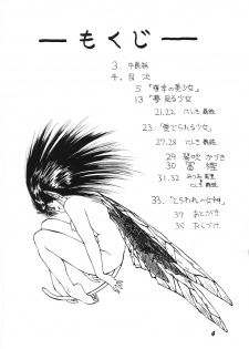 (C45) [Alice Syndrome (Nishiki Yoshimune)] Nuuberu Ehon (Samurai Spirits) - page 3