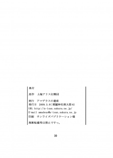 (Reitaisai 6) [Amadeus no Isan (Fujihara Shu, Aoba Shou)] FESTA! (Touhou Project) - page 30