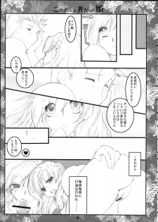 (C72) [1st.M's, HAMUSTAR (Hayami Osamu, TanTan)] Kono Yo Nara Nu Monotachi No Hime (Final Fantasy IV) - page 28