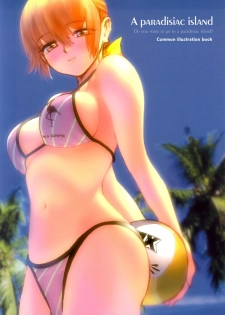 (C63) [RST Live (Various)] A Paradisiac Island (Dead or Alive) - page 1