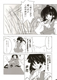 (SC27) [SeaFox (Kirisaki Byakko)] Mayou mono wa fuku o mo suteru (Touhou Project) - page 13