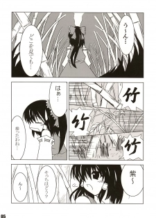 (SC27) [SeaFox (Kirisaki Byakko)] Mayou mono wa fuku o mo suteru (Touhou Project) - page 4