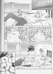 (C69) [PONCHEES (Kari) (Irohane Sui)] LionHeart (BLEACH) - page 3