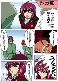 (C67) [TOUSOUSHIN (Spanking Samurai)] Mousou Dairi Chou Mini Destiny (Gundam SEED DESTINY) - page 2