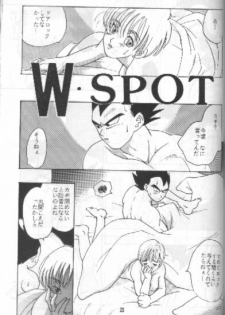 (C49) [Kuri (Soraki Maru, Akimura Seiji, Kuri)] W SPOT (Dragon Ball Z) - page 23