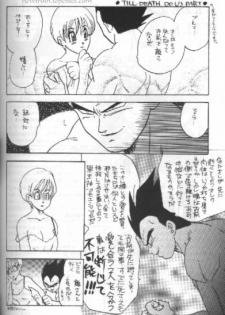 (C49) [Kuri (Soraki Maru, Akimura Seiji, Kuri)] W SPOT (Dragon Ball Z) - page 22
