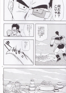 [Chirigami Goya, Fusuma go Ten (Shoji Hariko, Kuri)] Wakayo (Dragon Ball) - page 33