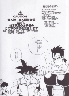 [Chirigami Goya, Fusuma go Ten (Shoji Hariko, Kuri)] Wakayo (Dragon Ball) - page 4