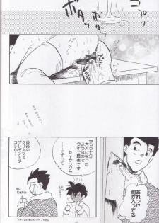 [Chirigami Goya, Fusuma go Ten (Shoji Hariko, Kuri)] Wakayo (Dragon Ball) - page 21