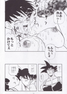 [Chirigami Goya, Fusuma go Ten (Shoji Hariko, Kuri)] Wakayo (Dragon Ball) - page 47