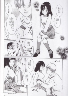 [Chirigami Goya, Fusuma go Ten (Shoji Hariko, Kuri)] Wakayo (Dragon Ball) - page 23