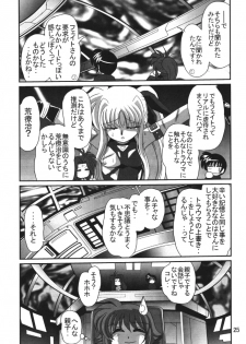 [Thirty Saver Street 2D Shooting] Storage Ignition 2 (Mahou Shoujo Lyrical Nanoha / Magical Girl Lyrical Nanoha) - page 25