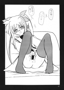 [Thirty Saver Street 2D Shooting] Storage Ignition 2 (Mahou Shoujo Lyrical Nanoha / Magical Girl Lyrical Nanoha) - page 37