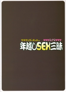 (C75) [TETRODOTOXIN (Nise Kurosaki)] Machina & Garnet to Toshikoshi SEX Zanmai (Dragonaut) [English] {doujin.moe.us} - page 30