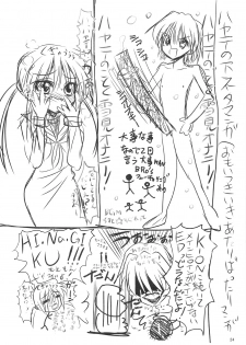 (COMIC1☆3) [Rikudou Juku (Ai ha muteki)] Ochita Hina Chiru Rangiku (Hayate no Gotoku! [Hayate the Combat Butler!]) - page 23