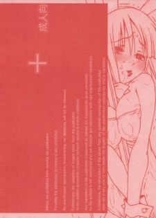(COMIC1☆3) [bolze. (rit.)] Kyankyan Iwasareru Bunny Mushiritorare-ru+ (Hayate no Gotoku! [Hayate the Combat Butler!]) - page 34