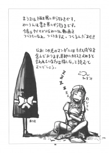 (COMIC1☆3) [Shimoyakedou (Nezumi, Ouma Tokiichi)] RED Ring (Touhou Project) - page 14