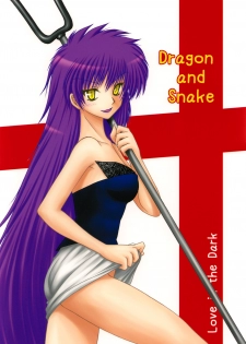 [Ai Wa Kurayami (Marui Ryuu)] Ryu to Hebi | Dragon and Snake (Ghost Sweeper Mikami) - page 22