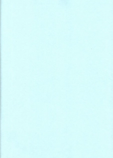 (C59) [HAND BOMB (Hippopotamus)] Hiyoko (Ruin Explorers) - page 31