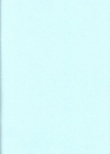 (C59) [HAND BOMB (Hippopotamus)] Hiyoko (Ruin Explorers) - page 2
