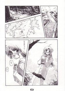 (CR32) [RYU-SEKI-DO (Nagare Hyo-go)] SpoiL (Utawarerumono) - page 29
