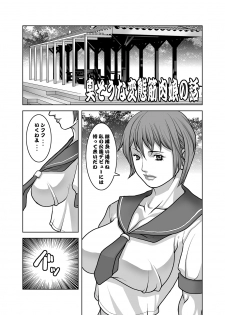 [DOUBLE-H (Honjou Hideaki)] Nikushuu Musume (Street Fighter) [Digital] - page 4