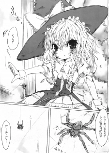 (C74) [Fuckin Toyzaras (Asano Shimon)] SPIDER AND SAINTS (Touhou Project) - page 4