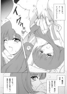 [Blight Sphere] Patchlism (Touhou) - page 10