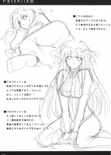 [Blight Sphere] Patchlism (Touhou) - page 19