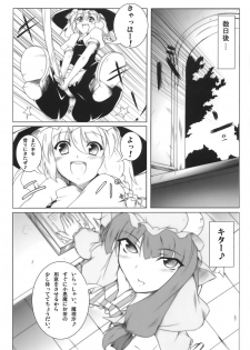 [Blight Sphere] Patchlism (Touhou) - page 11