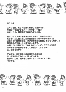 (COMIC1☆3) [Transistor Baby (Hata)] Nightmare Princess (Dragon Quest I) - page 14