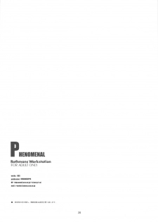 [R-WORKS] PHENOMENAL (P3) - page 27