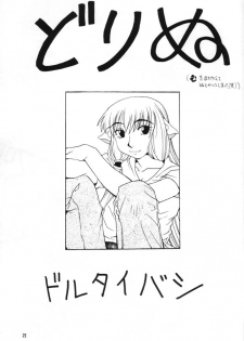 [MANGANA (Doluta Ibashi, Nishimo)] Nyan Nyan Hobit (Chobits) - page 24
