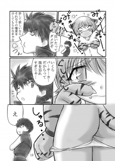 [Dark RoseEX-S (Hirooki)] JOB☆STAR (Final Fantasy V) - page 12