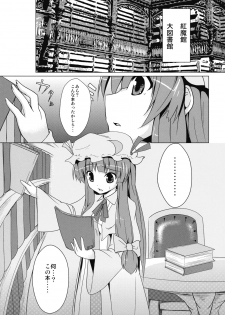 (Reitaisai 6) [Kikagaku Moyou / Aestheometry (Pilky)] Himitsu no Ehon (Touhou Project) - page 5