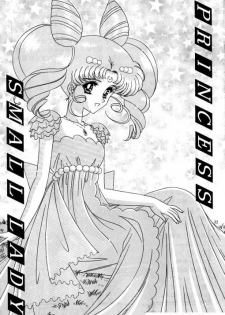 Bishoujo S Ichi - Sailor Chibimoon [English] [Rewrite] [Dojin2000] - page 13