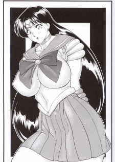 (CR32) [ALPS, Okachimentaiko, Rippadou (Various)] NEXT 12 Climax Magazine (Bishoujo Senshi Sailor Moon) - page 17