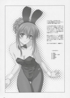 (C68) [CROSS-DO (Masakichi)] Chika Cos. 2 (Sister Princess) - page 3