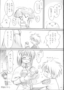 [Mizukidou] らぐくろ (Ragnarok Online) - page 32