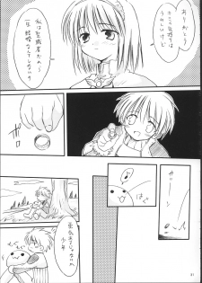 [Mizukidou] らぐくろ (Ragnarok Online) - page 30