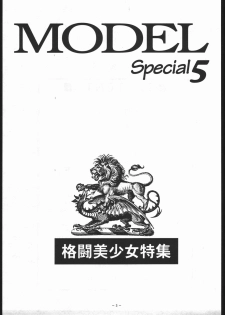 [METAL (Various)] MODEL SPECIAL 5 (Various) - page 2