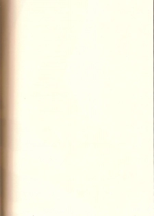 [Queen Of VANILLA (Tigusa Suzume)] Mistake (Final Fantasy XI) - page 2