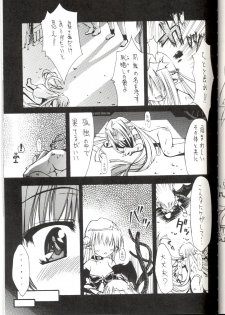 (C64) [Nanairo no Magatama (Nanaki Seijyu)] RFⅡ (Ragnarok Online) - page 4